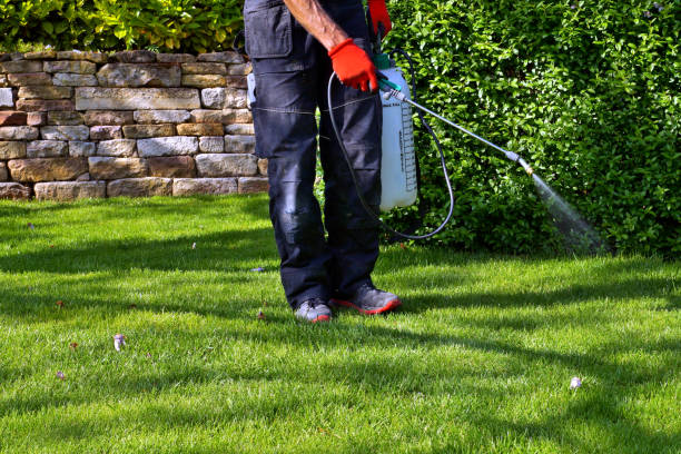 Best Organic or Eco-Friendly Pest Control  in West Haven Sylvan, OR